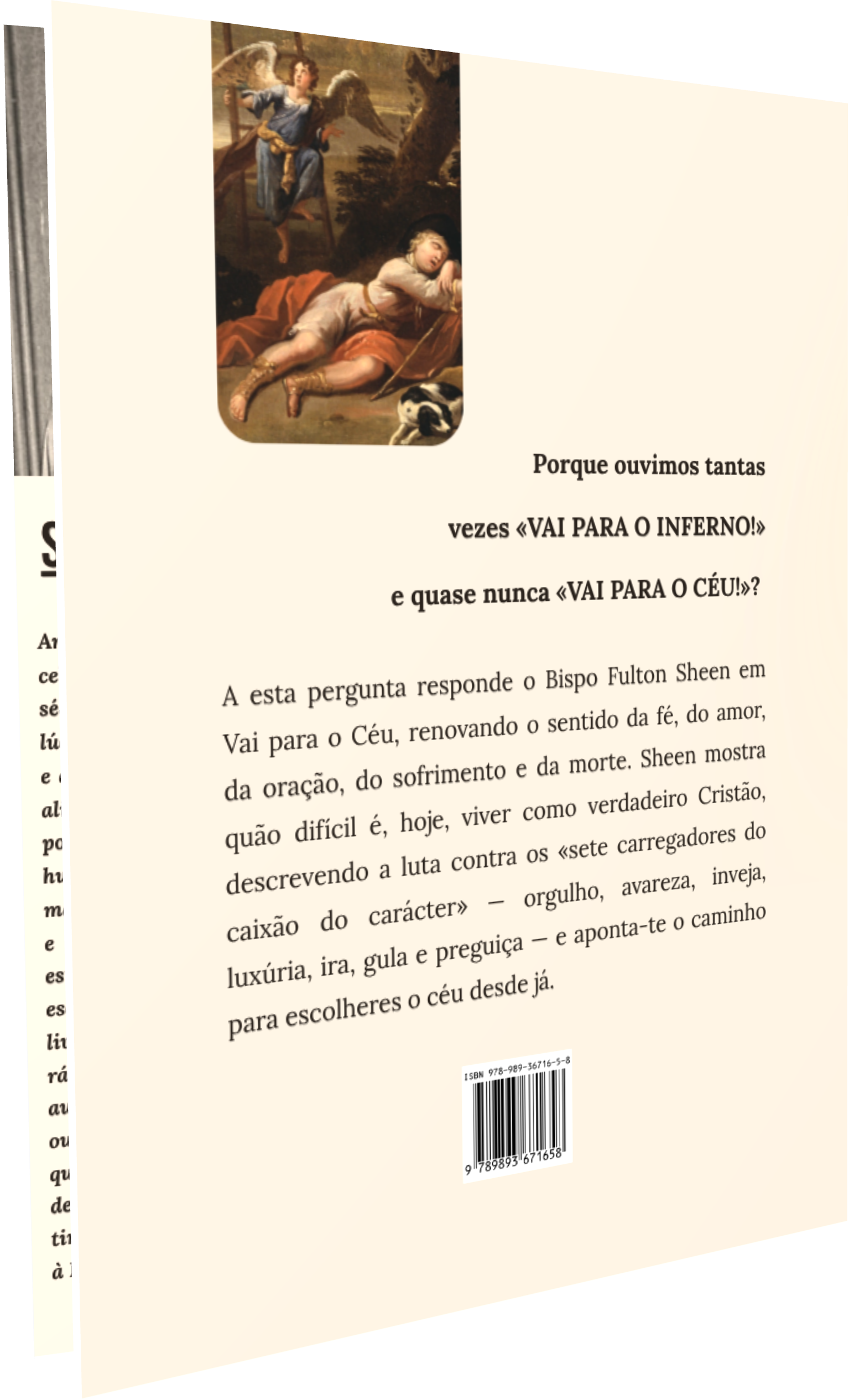 Contracapa